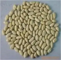 China Wholesale Hot Origin Dried Peeled Skinless Peanut Blanched Groundnut Kernel