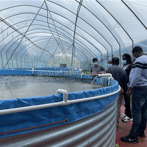 Lvju Custom большой резервуар для воды на 10000 литров сельскохозяйственная Оросительная теплица хранения продажи