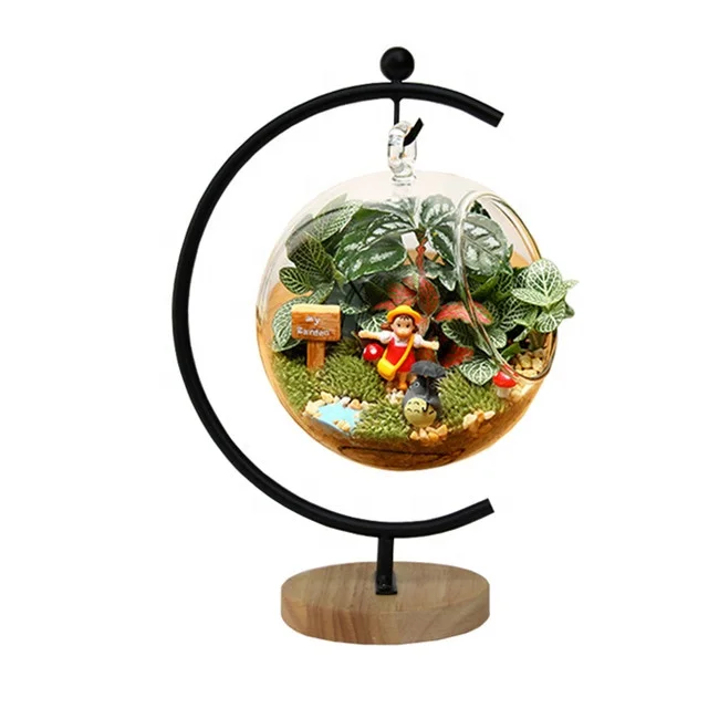 Ornament Display Stand for Hanging Glass Globe Air Plant