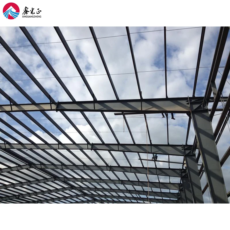 Cost-effective prefab metal alloy Structure factory logistics hall
