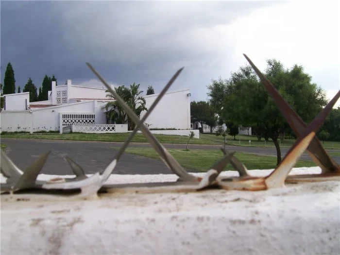 Anti Climb Wall Razor Spike Wall Spike Middle Wall Spikes