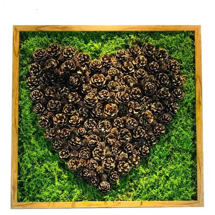 High Quality Real Natural Soft Everlasting Preserved Moss Wall Hanging Framed Green Moss