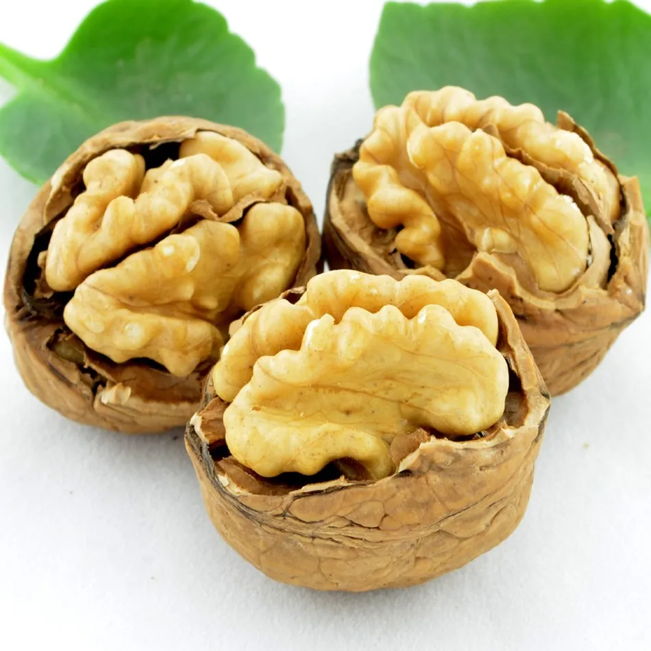 Walnuts with thin skin 185 new paper shell walnuts with cheap price and excellent quality