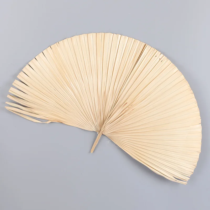 Wholesale Dried Artificial Fan Decorative Preserved Dried Leaf Palm Tree Leaves For Wedding Scene Decoration