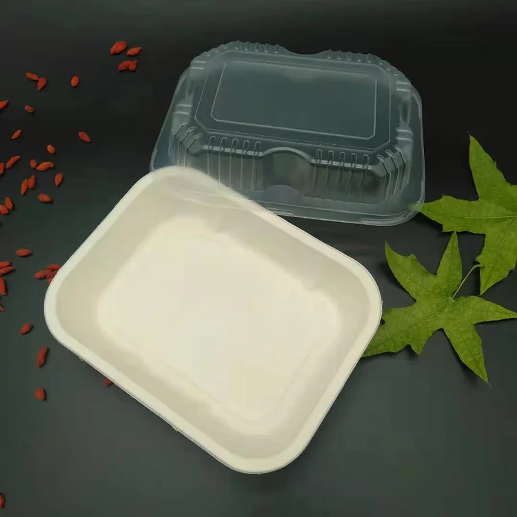 Food Grade Biodegradable Water Proof Sugarcane Bagasse Food Takeaway Container