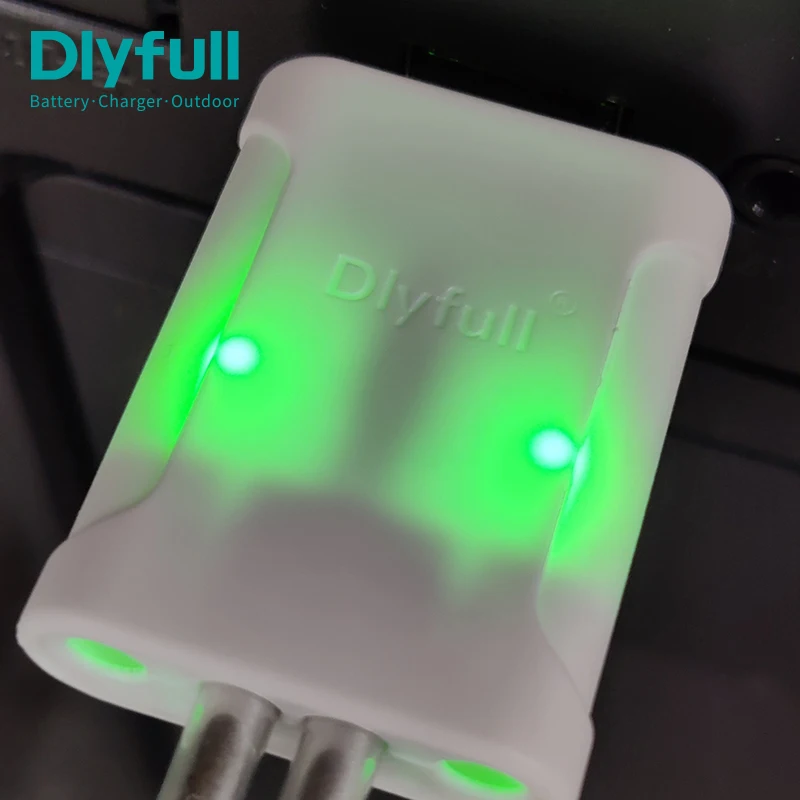Dlyfull LIR425 Rechargeable CR425 Lithium Pin Battery For LED Fishing Float