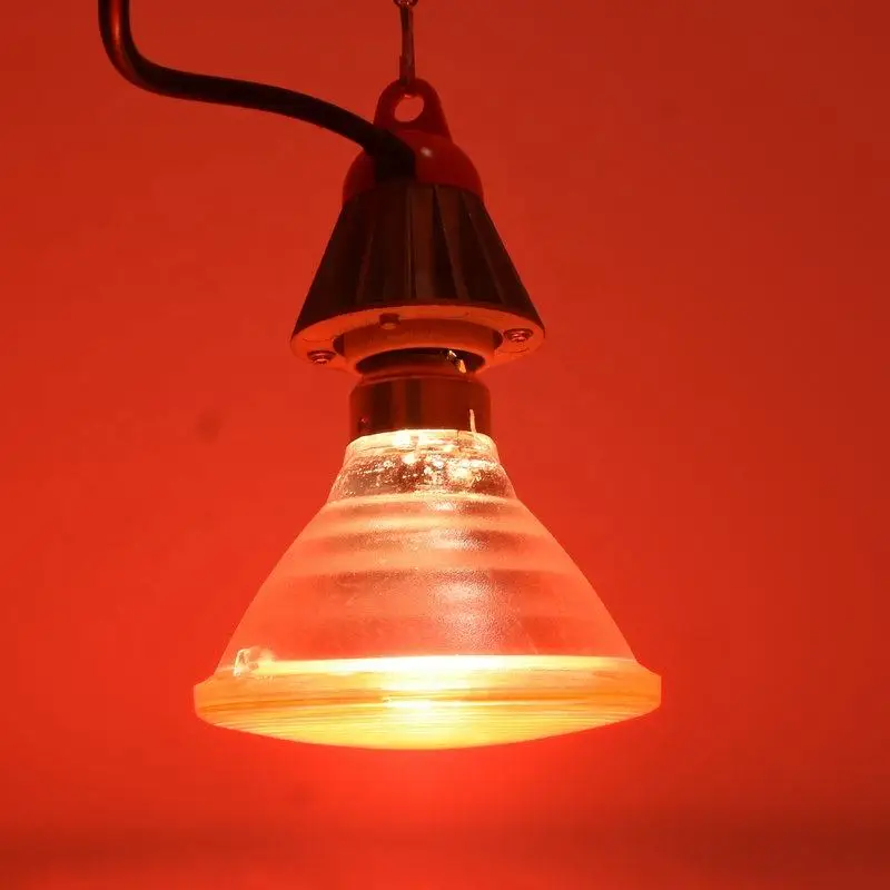 Popular Portable E26/E27 Halogen Infrared Heater Bulb Par38 Infrared Therapy Heat Bulb Lamp