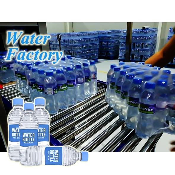 Mineral Water making machinery production line manufacture plastic bottle  water filling line