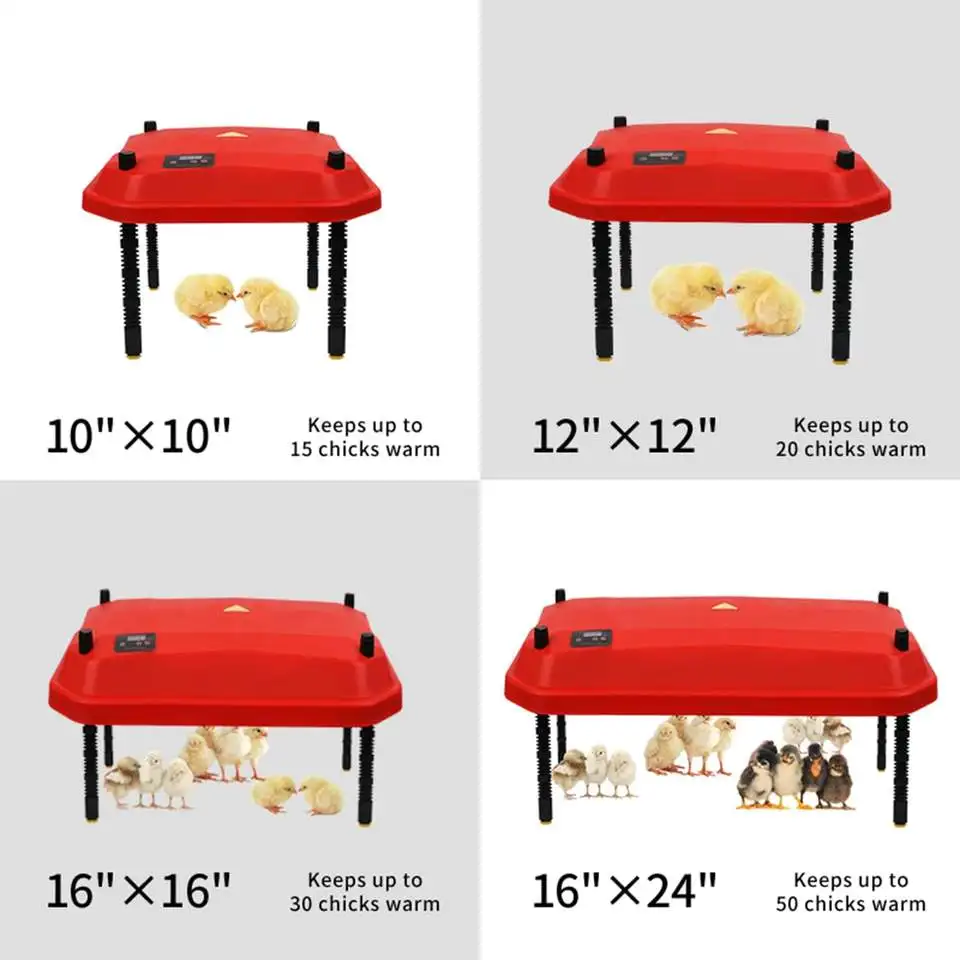 Adjustable Height Chick Brooder Heating Plate for Keep Warm