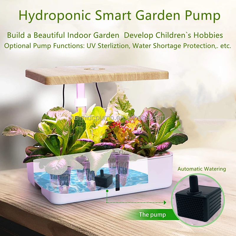 hydropnics pump 01 800.jpg
