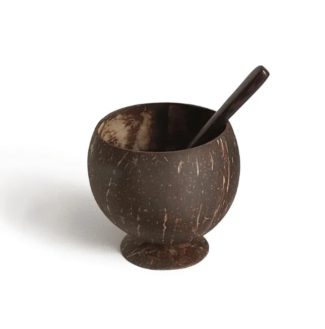 Custom Logo Wooden Bowls With Spoon Eco-friendly Natural Coconut Shell Bowl