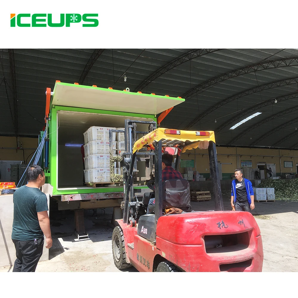 CE 1-24 поддона, машина для вакуумной охлаждения фруктов и овощей