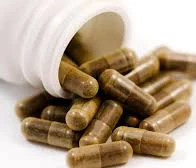 Golden Acacia Sweet Acacia Extract 10:1 Combretum Powder Acacia Catechu Extract Powder