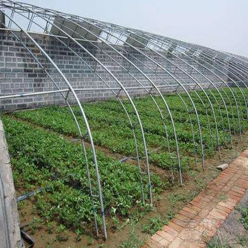 Solar plastic PO film Tomato Greenhouse with drip irrigation system