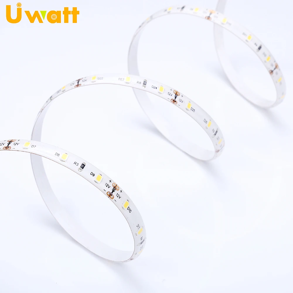 Tiras Luz de tira Bande de LED DC12V 60 LED/m 2835 IP65 LED Flexible Strip With Landscape