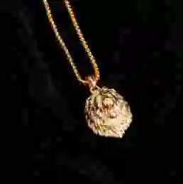 Lion King Pendant Stainless Steel Silver Men Charm Necklace Gothic Men Jewelry Lion Pendant Leo Horoscope Necklace