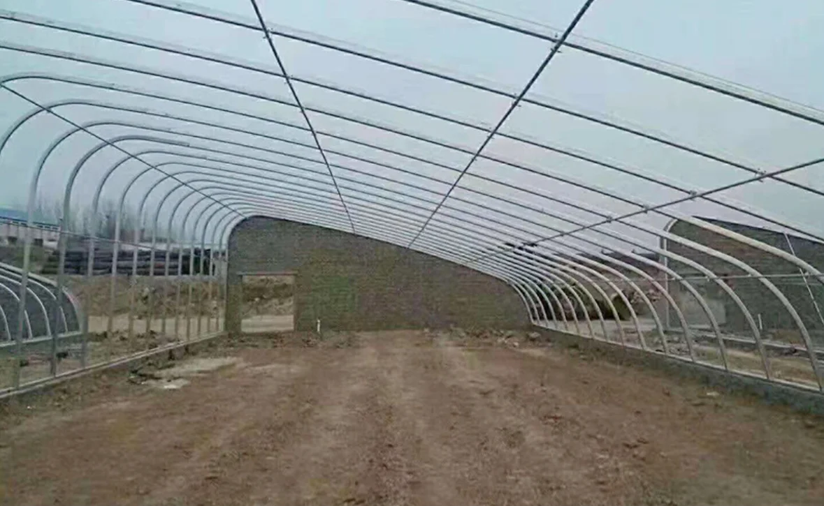 High strength galvanized steel pipe agricultural greenhouse, animal husbandry greenhouse,   cattle / sheep / chickens greenhouse