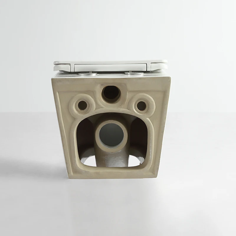 Настенный унитаз подвесной немецкого европейского стандарта настенный для гостиной