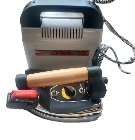 Electric steam boiler with steam iron small electric steam boiler with iron bucket with good price hot sell on 2022 year