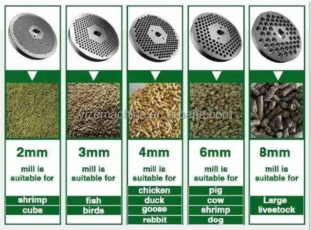 Mini Forage Alfalfa Flat Die Pellet Mill Machine for Sale Animal Chicken Feed Pelletizing Making in Philippines