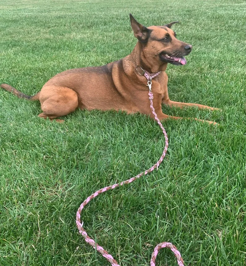 wholesale pet products Braided Hands Free Running Double Thick tactical Paracord Rope Dog Leash