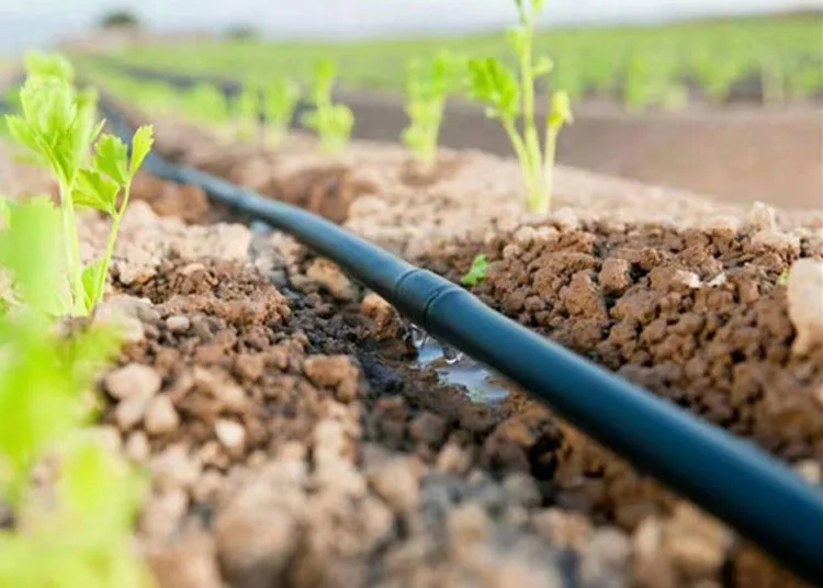 Solar Watering Irrigation Systems Machine for Farm drip irrigation pipe fitting kit agricultural micro tube ldpe plastic pipe 16