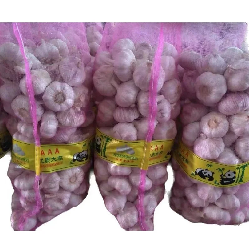 Fresh garlic for African market at factory wholesale prices