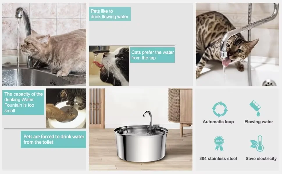 3.2L Cat Water Fountain Automatic Stainless Steel Pet Fountain Dog Water Dispenser with Ultra-Quiet Pump Cat supplies Hot Sale
