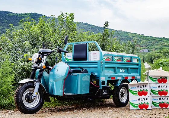 
Various good quality new type large capacity electric cargo tricycle 2021 