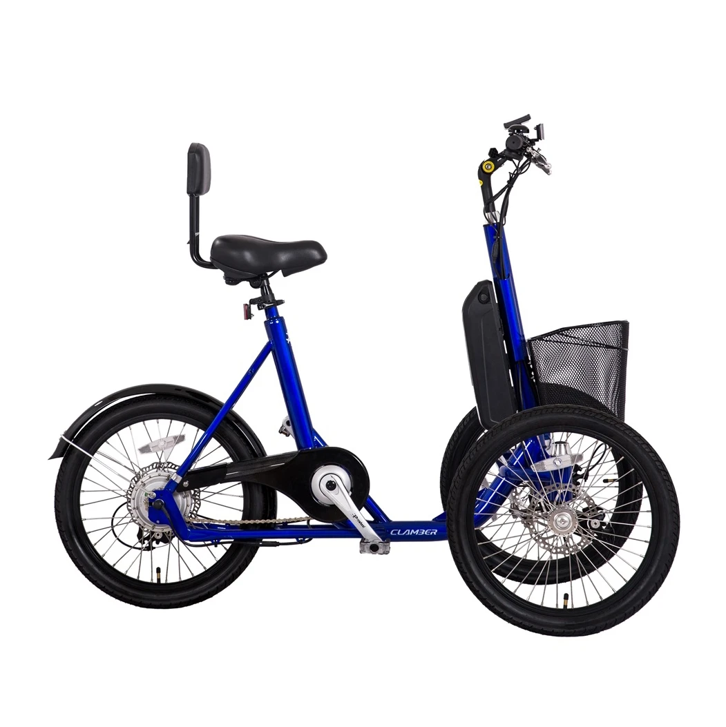 Three Wheel Electric Cargo Bike/adult Electric Tricycle