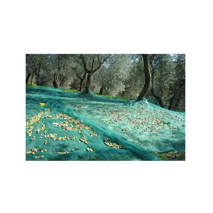 
olive oil net antispina for italu 