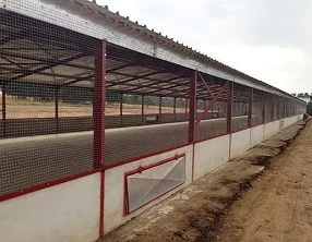 chicken house.jpg