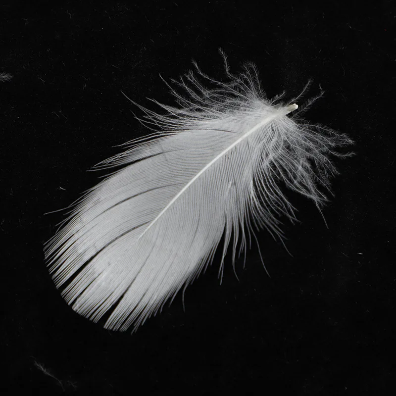 OEKO White 100% Duck Feather Filling Natural Filling for Comforters Pillows Jackets Couch Cushions