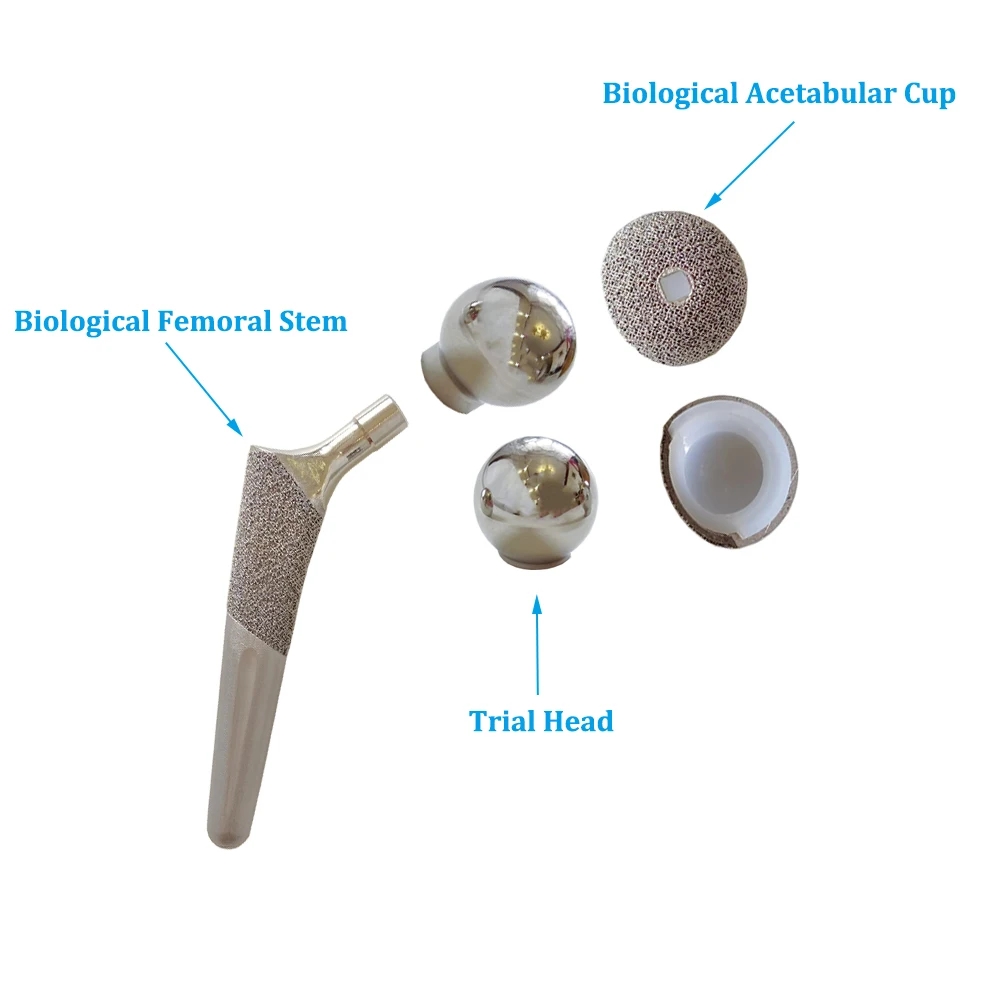 Surgical Biological Hip System Orthopedic THR Total Hip Replacement Acetabular Cup Instrument System