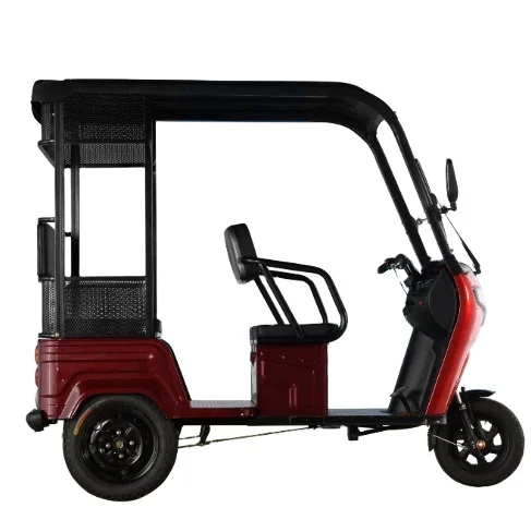 Leisure Electric Tricycles with roof for elderly 60V 800W