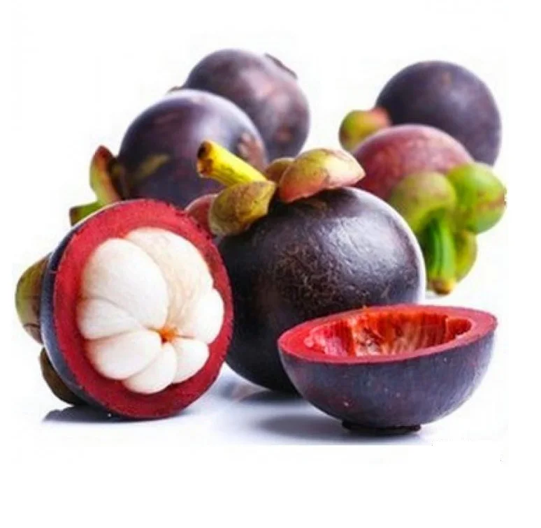 Factory  price Mangostin powder Alpha mangostin Mangosteen peel extract