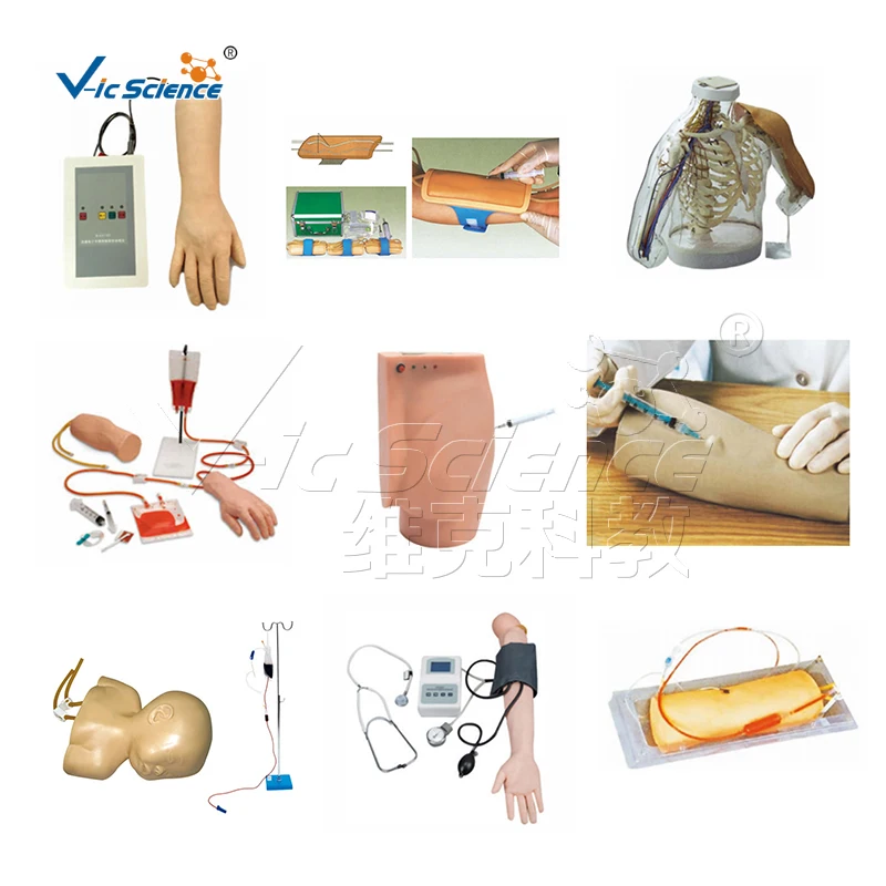 Intradermal Injection Arm Model for Training
