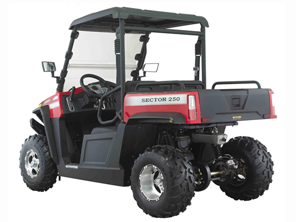 HISUN Quad 250cc/750cc Gasoline Engine Powered Automatic 4X4 UTV Buggy Off Road Cf New Arrival Moto free shipping japanese