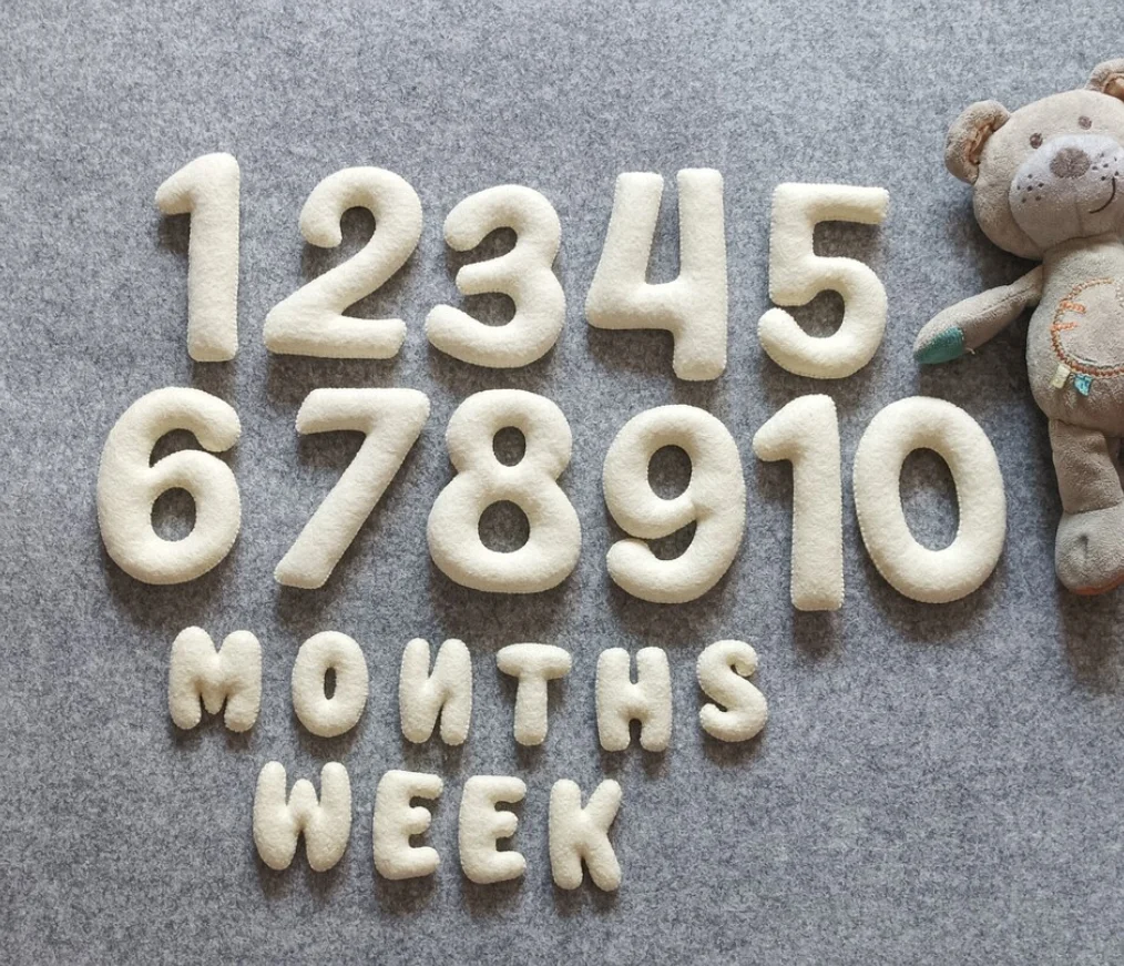 Felt Baby Milestone Numbers Months and Weeks Photo Prop Countdown Number Baby Milestone tracker