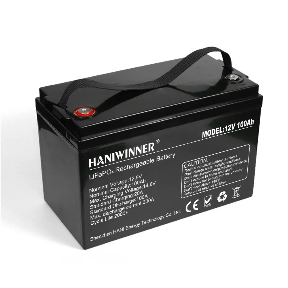 Custom Deep Cycle Lithium Iron Phosphate Battery 300Ah 150Ah 200Ah 100Ah 24V 12V Lifepo4 Lithium ion Battery for Solar System