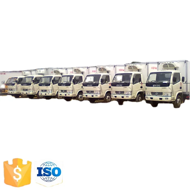 Mini cargo cold storage truck refrigerated truck for sale