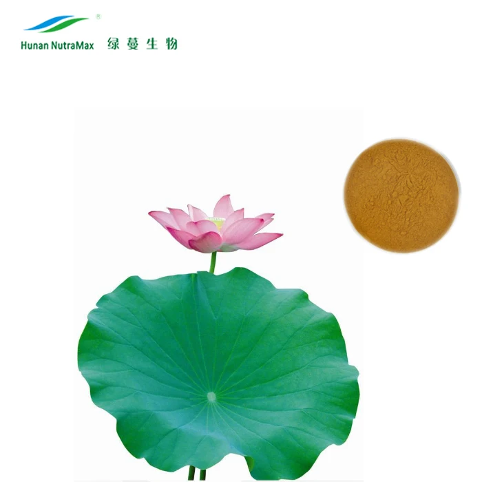Порошок экстракта Nelumbo Nucifera порошок листьев лотоса с флавоноидами