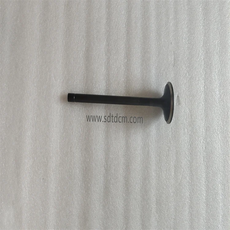 Intake and Exhaust Engine Valve 6D170 E3 Engine OEM 6240-41-4110 6240-41-4210