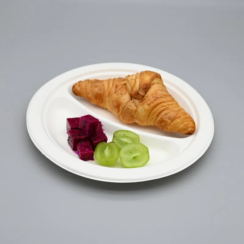 Restaurant Disposable Safe Biodegradable Pulp Tray Sugar Cane Bagasse Packaging Plate Round Shape