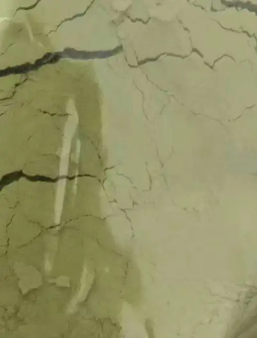 Trichoderma Harzianum wp Powder trichoderma harzianum t22 for agricultural