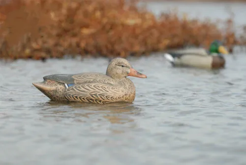 Hot Buy Magnum Mallard Duck Floating Decoys