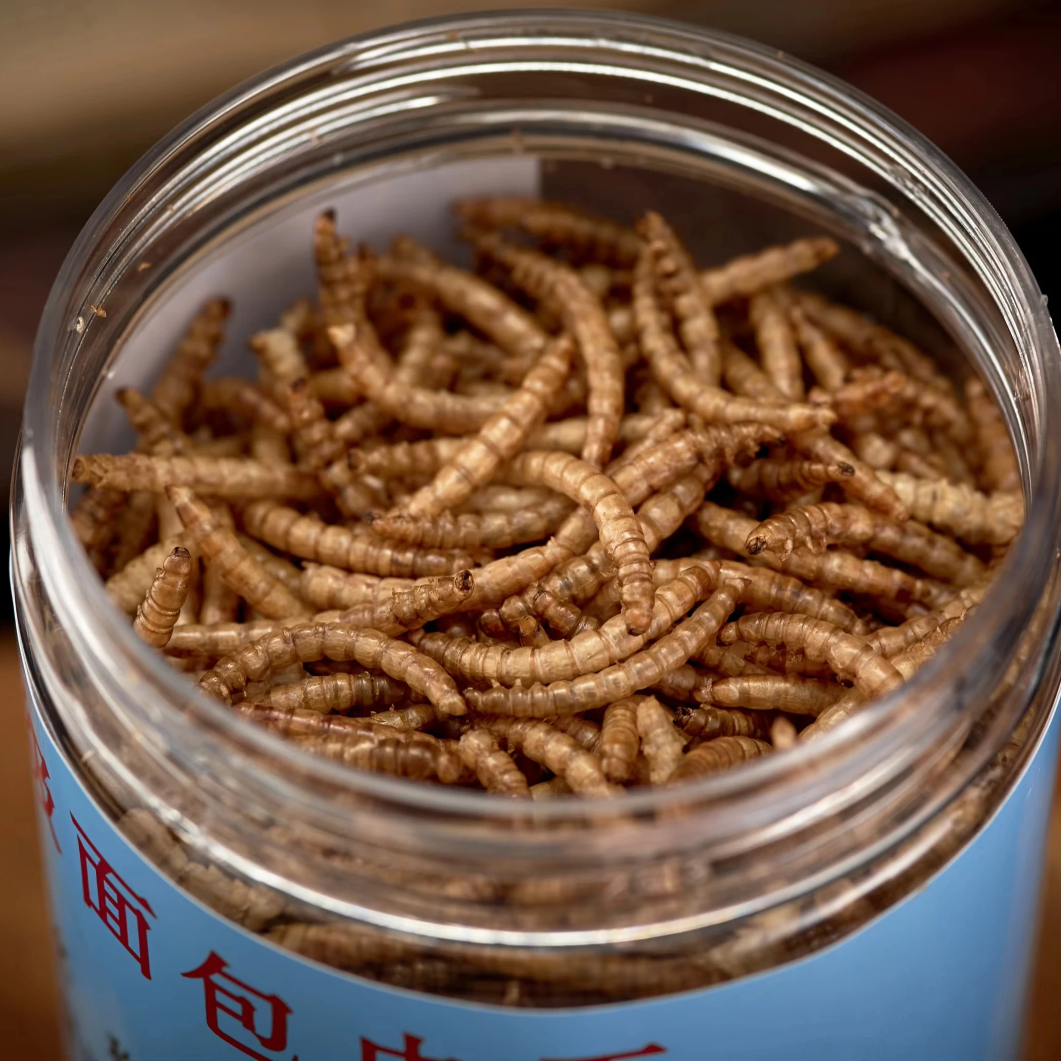 High Quality Fish and Bird Snacks Poultry Feed Dry Mealworm