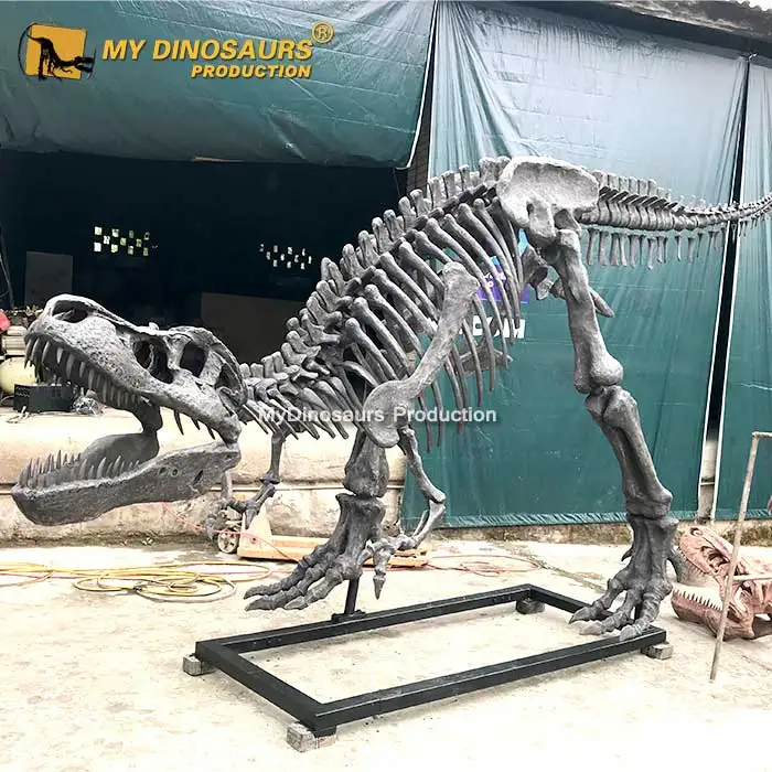 My Dino Life Size Dinosaur T-rex Skeleton for Shopping Mall