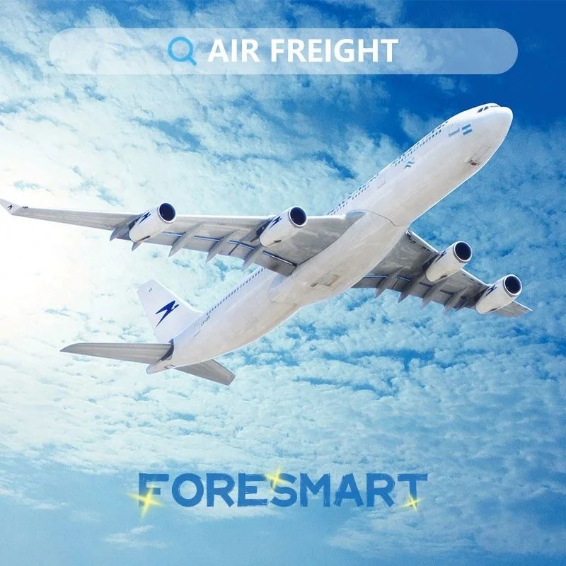 International Freight Forwarding Service From Korea China To Philippines Singapore Vietnam Thailand