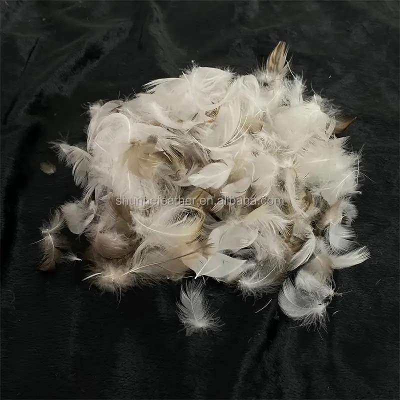 Factory Direct Sales1-2cm Washed Grey Duck Feather